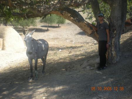 abdallah