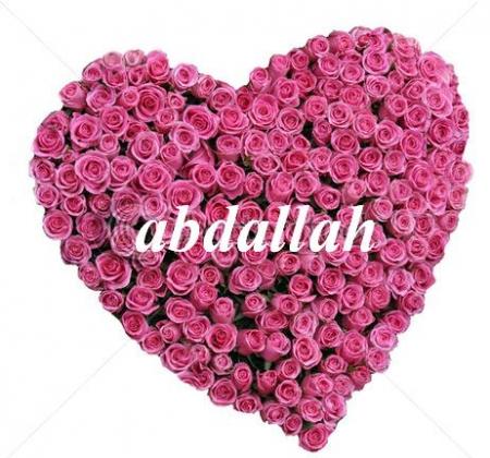                                                Abdou